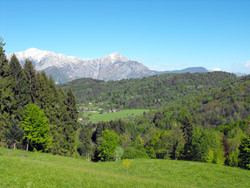 Панорама (810 м) Тропа № 1A | От Сан-Джованни до горе Нуволоне