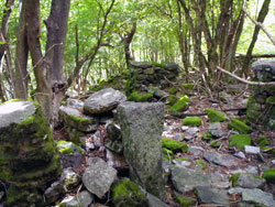 Руины Pra de la Curt (985) | Трекинг от Бриенно до вершины горы Комана