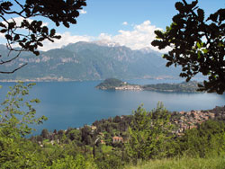 Грианте (Griante) и Каденаббия (Cadenabbia) - Центр озера Комо