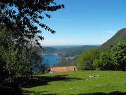 Monte di Liscione (730 m) - Мольтразио | Маршрут в Мольтразио