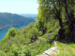 Via ai Monti di Lenno (1085 m) - Мольтразио | Маршрут в Мольтразио
