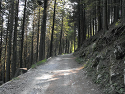 Пешеходный маршрут по Ларианскому треугольнику - 1й этап | Via alle Colme (1020 м.)