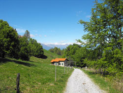 Пешеходный маршрут по Ларианскому треугольнику - 2й этап |  Альпе делле Вилле (Alpe delle Ville)