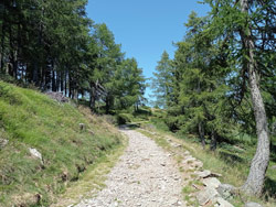Strada militare del Legnoncino (1570 m) | Маршрут из Суэльо к Монте-Леньончино