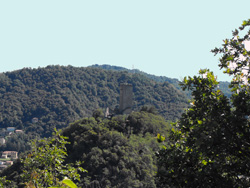 Замок Бараделло | парк Спина Верде